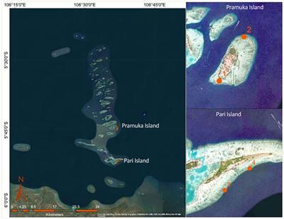 Spatio-temporal variation in progression rates of black band disease between Pramuka Island and Pari Island of the Seribu Islands, Indonesia